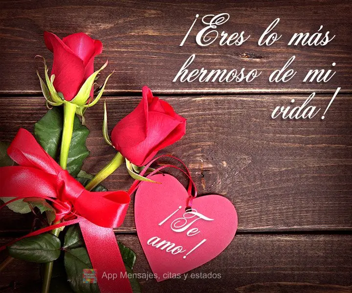 ¡Eres lo más hermoso de mi vida! ¡Te amo!