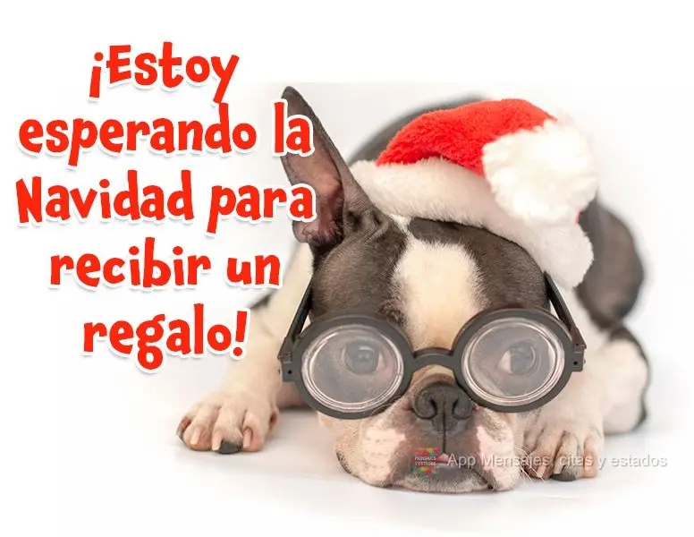 ¡Estoy esperando la Navidad para recibir un regalo!