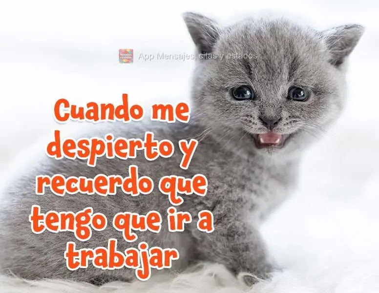 Cuando me despierto y recuerdo que tengo que ir a trabajar