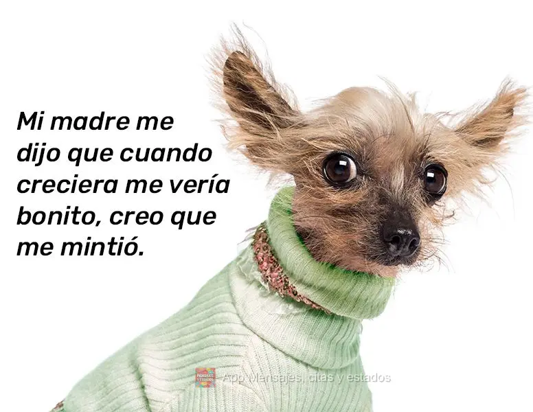 Mi madre me dijo que cuando creciera me vería bonito, creo que me mintió.