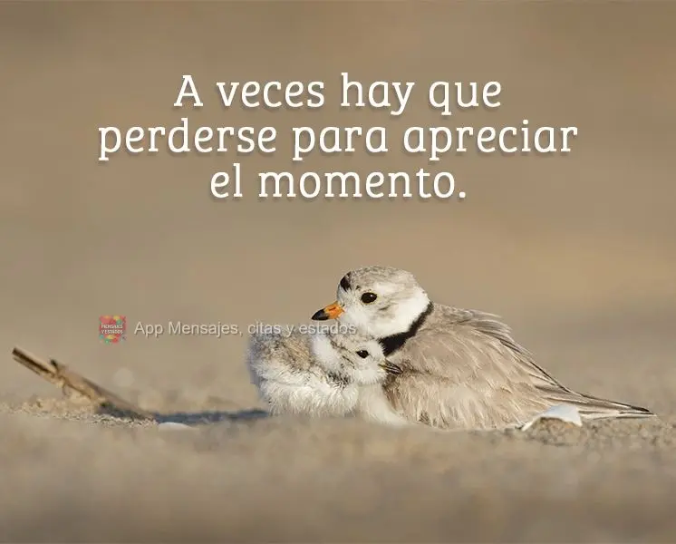A veces hay que perderse para apreciar el momento.