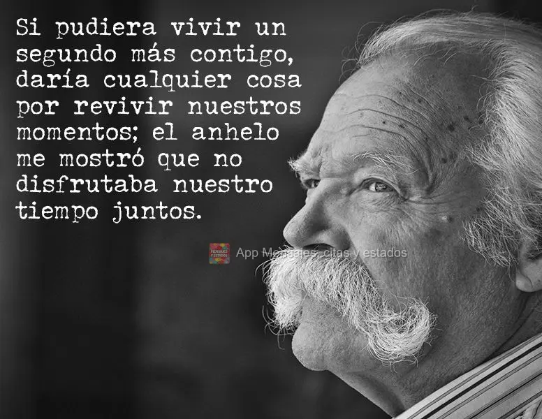 Se eu pudesse viver só mais um segundo com você, eu daria tudo para viver novamente nossos momentos; a saudade me mostrou que eu não aproveitei o noss...