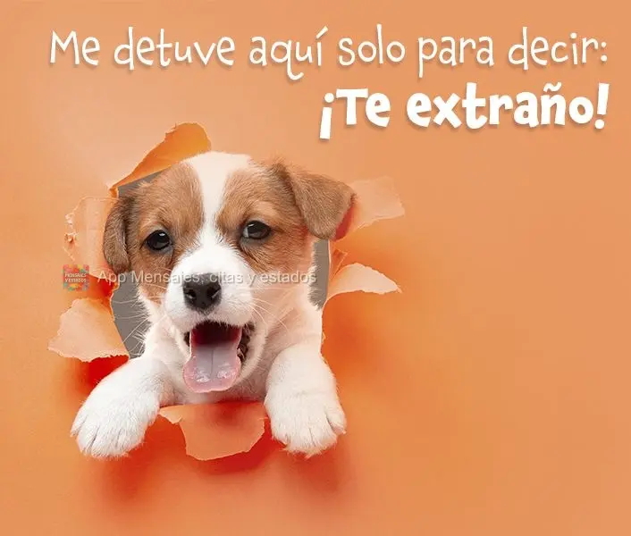 Me detuve aquí solo para decir: ¡Te extraño!