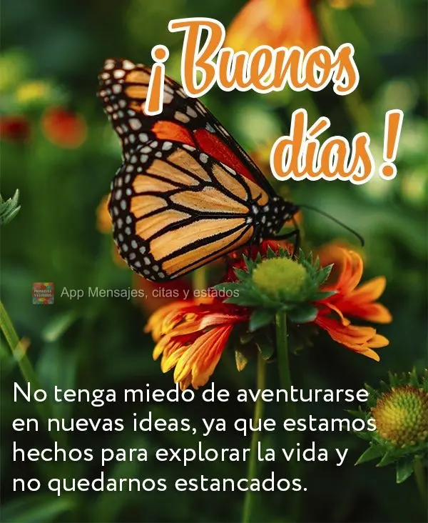 Não tenha medo de se aventurar em novas ideias, pois fomos feitos para explorar a vida e não para ficar estagnados. Bom dia!