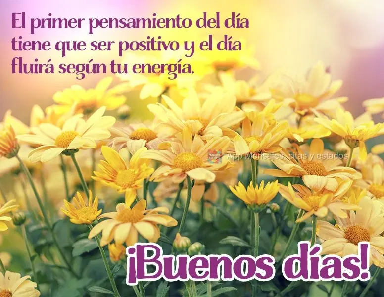 El primer pensamiento del día tiene que ser positivo y el día fluirá según tu energía. ¡Buenos días!