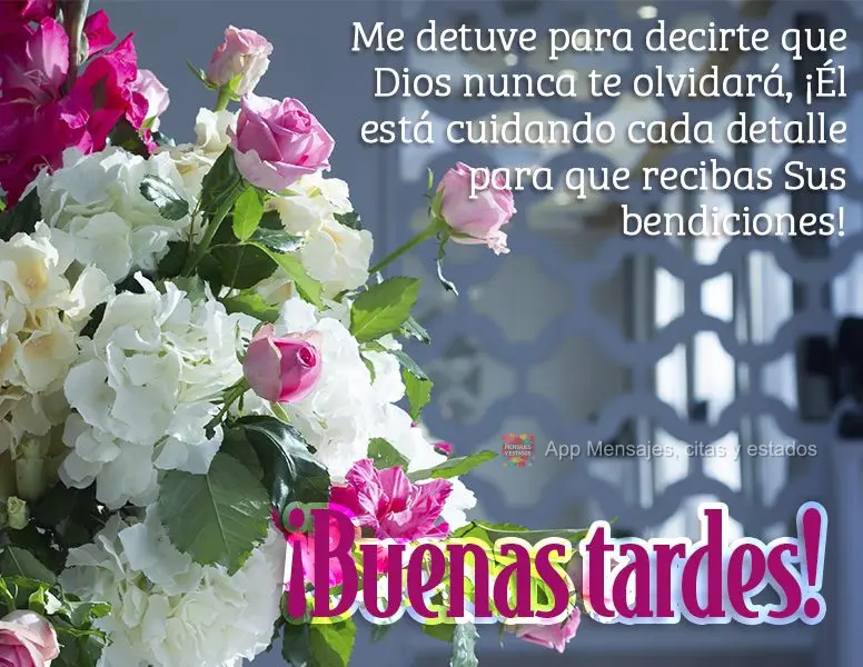 Me detuve para decirte que Dios nunca te olvidará, ¡Él está cuidando cada detalle para que recibas Sus bendiciones! ¡Buenas tardes!