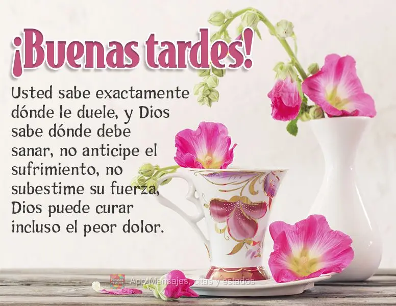 Você sabe exatamente onde dói e Deus sabe onde Ele deve curar. Não antecipe sofrimento, não subestime a sua força, Deus é capaz de curar até a pio...