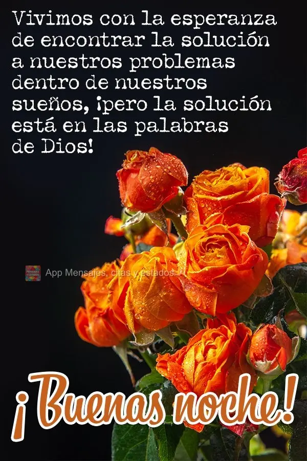 Vivimos con la esperanza de encontrar la solución a nuestros problemas dentro de nuestros sueños, ¡pero la solución está en las palabras de Dios! ¡...