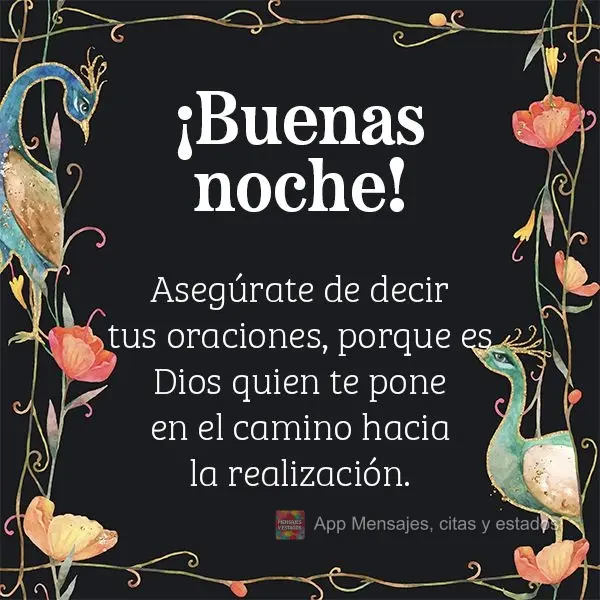 Não deixe de fazer as suas preces, porque é Deus quem o coloca na rota da realização. Boa noite!