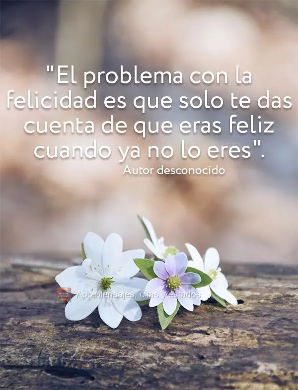 "El problema con la felicidad es que solo te das cuenta de que eras feliz cuando ya no lo eres". Autor desconocido