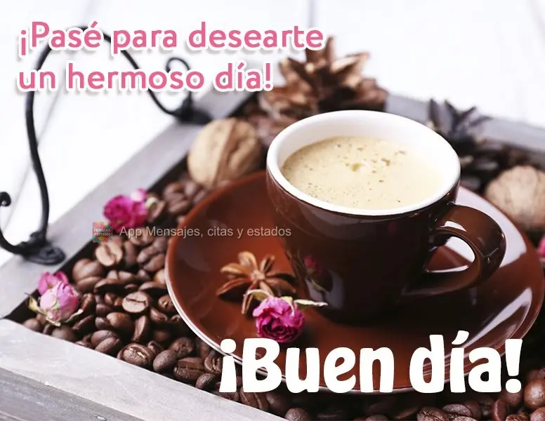 Passei aqui para desejar um lindo dia para você! Bom dia!