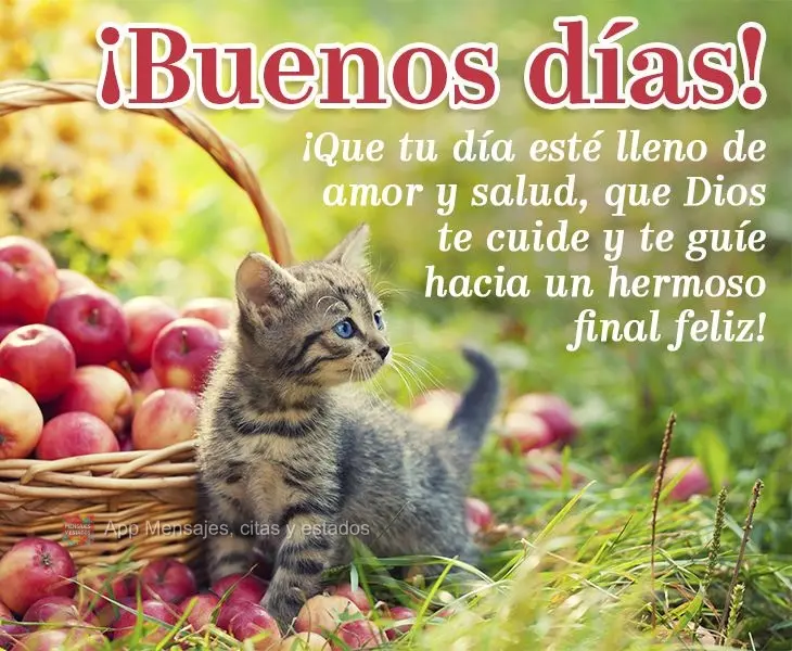 ¡Que tu día esté lleno de amor y salud, que Dios te cuide y te guíe hacia un hermoso final feliz! ¡Buenos días!