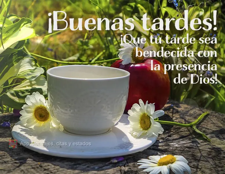 ¡Que tu tarde sea bendecida con la presencia de Dios! ¡Buenas tardes!