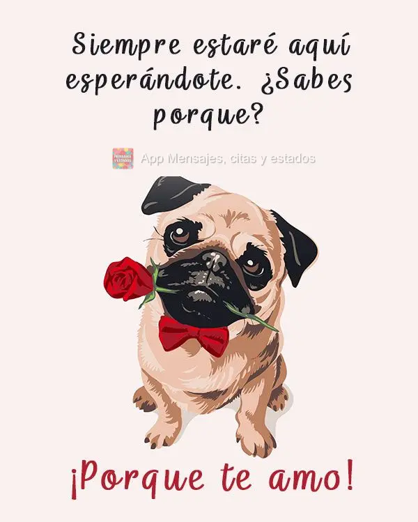 Siempre estaré aquí esperándote. ¿Sabes porque? ¡Porque te amo!