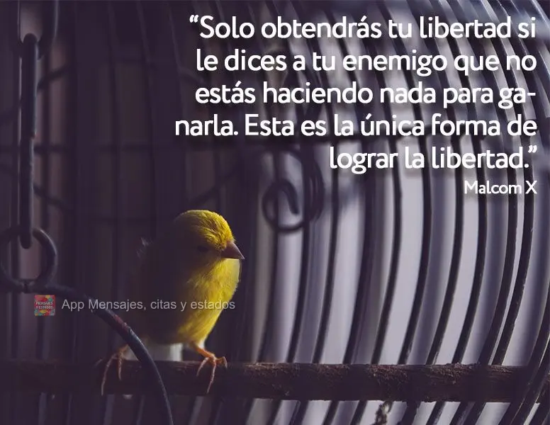 “Solo obtendrás tu libertad si le dices a tu enemigo que no estás haciendo nada para ganarla. Esta es la única forma de lograr la libertad ". Malcom...