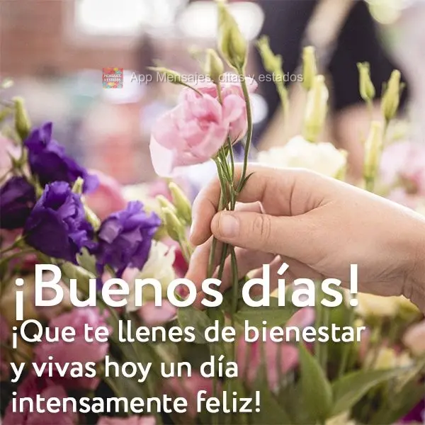 Que hoje você se encha de bem-estar e viva um dia intensamente feliz! Bom dia!