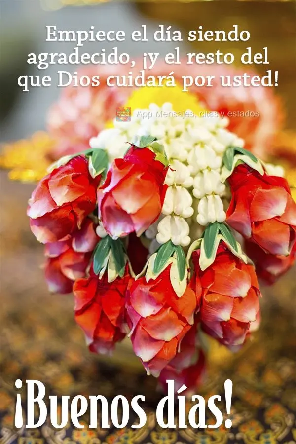 Comece o dia sendo grato e o resto Deus cuida pra você! Bom dia!