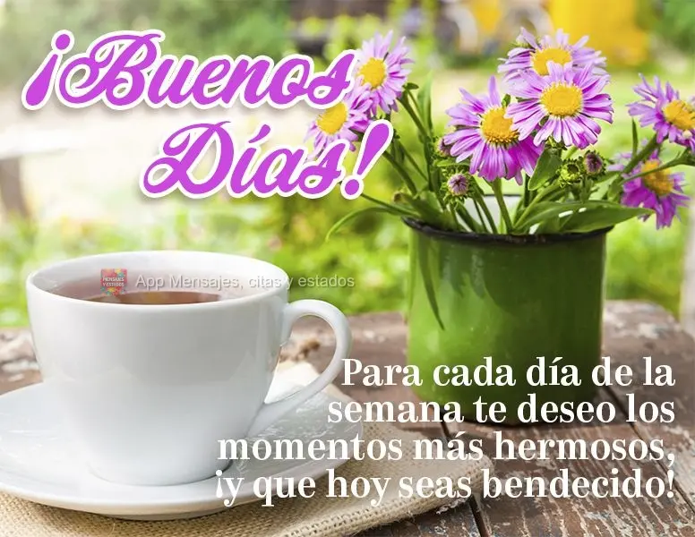 Para cada dia da semana desejo os mais belos momentos para você, e que hoje você seja abençoado! Bom dia!