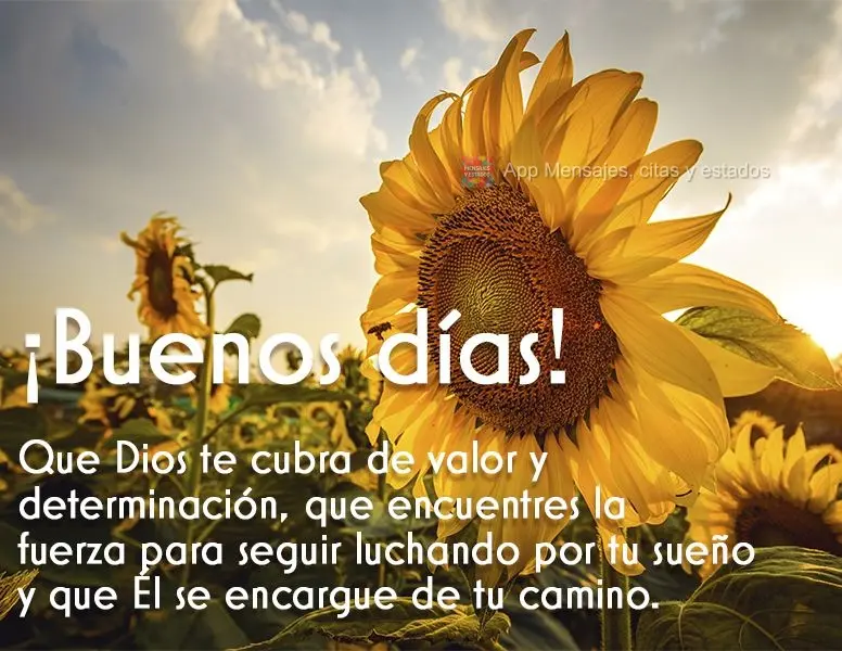 Que Deus te cubra de coragem e determinação, que você encontre forças para continuar lutando pelo seu sonho e que Ele cuide de seu caminho. Bom dia!...