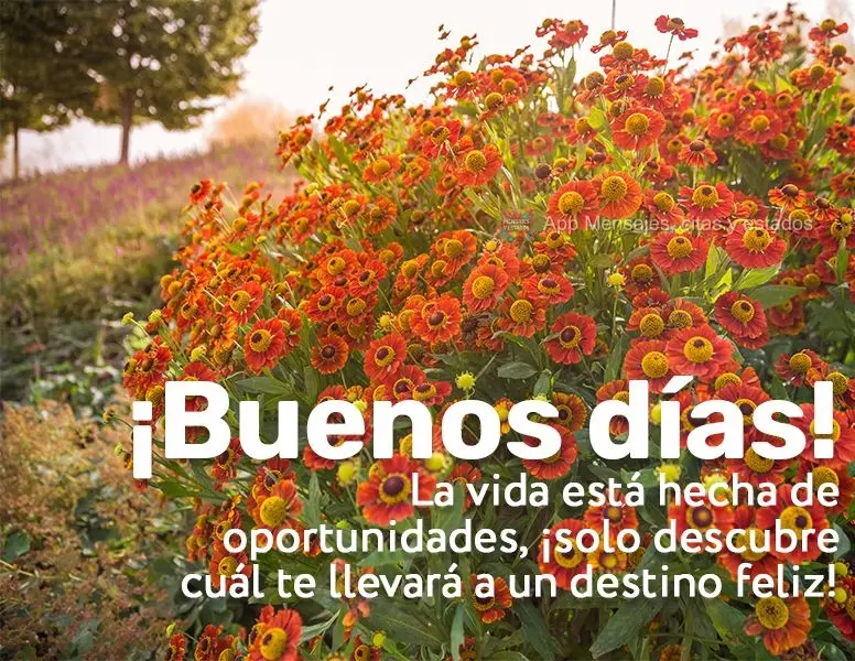 A vida é feita de oportunidades, basta você descobrir qual delas levará para um destino feliz! Bom dia!