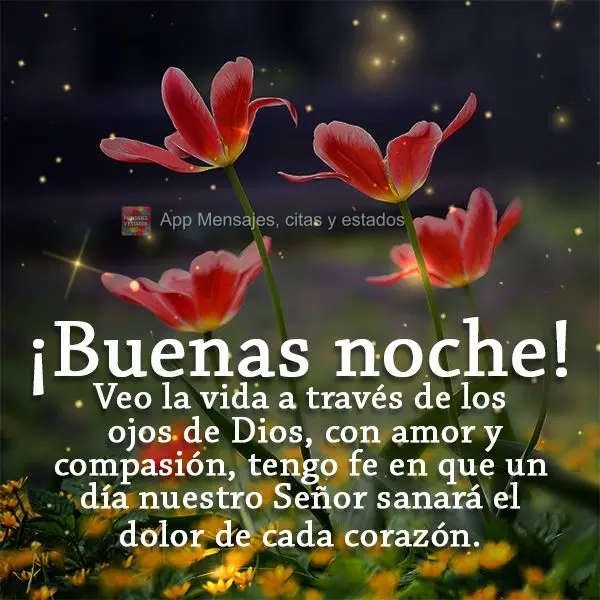 Eu vejo a vida com os olhos de Deus, com amor e compaixão, tenho fé que um dia nosso Senhor curará a dor de cada coração. Boa noite!
