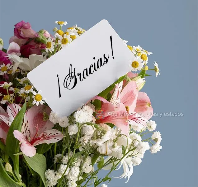 ¡Gracias!