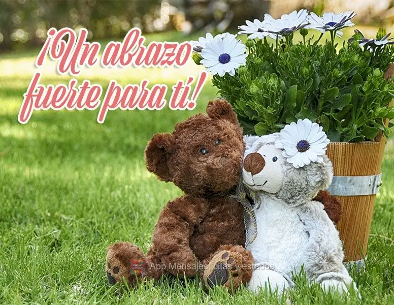 Um abraço apertado para você!