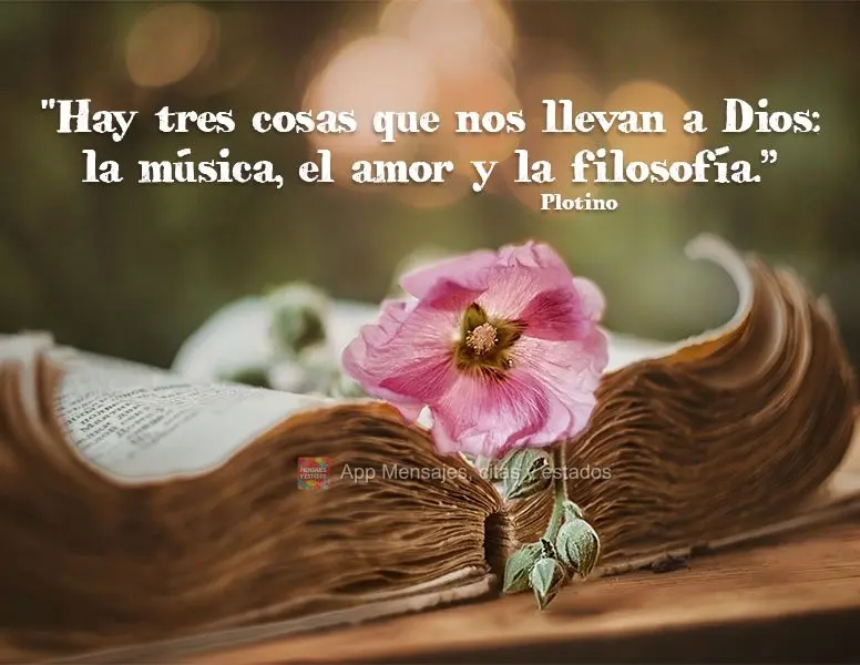 "Há três coisas que nos levam a Deus: Música, amor e filosofia.”  Plotino