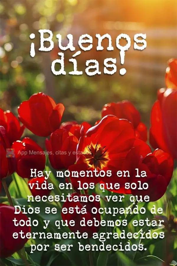 Há momentos na vida em que a gente só precisa enxergar que quem está cuidando de tudo é Deus, e que devemos ser eternamente gratos por sermos abenço...