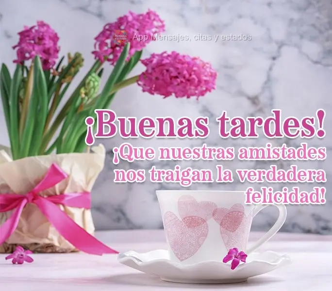 Que nossas amizades nos tragam a verdadeira felicidade! Boa tarde!