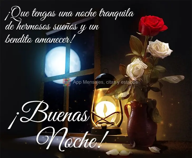 Que você tenha uma noite tranquila de lindos sonhos e um amanhecer abençoado! Boa noite!