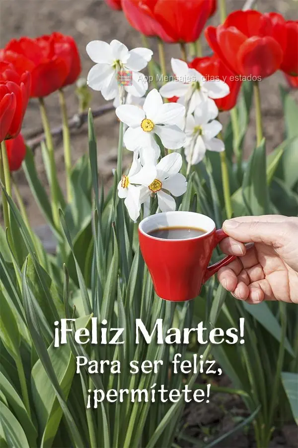 Para ser feliz, basta se permitir! Feliz Terça-feira!