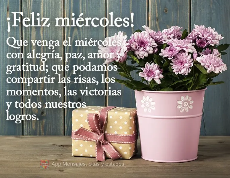 Que a quarta-feira venha com alegria, paz, amor e gratidão; que possamos compartilhar as risadas, os momentos, as vitórias e todas as nossas conquistas...