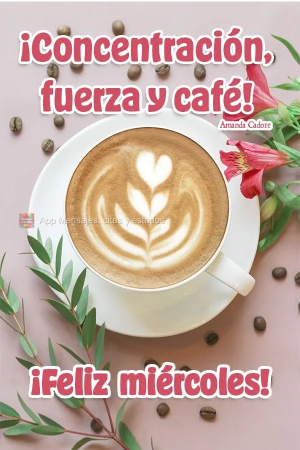 Foco, força e café! Feliz Quarta-feira! Amanda Cadore