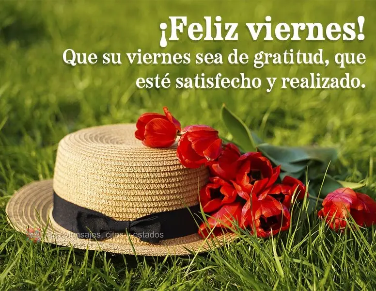 Que sua Sexta-feira seja de gratidão, que você possa estar satisfeito e realizado. Feliz Sexta-feira!