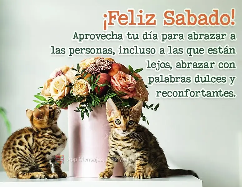 Aprovecha tu día para abrazar a las personas, incluso a las que están lejos, abrazar con palabras dulces y reconfortantes. ¡Feliz Sabado!