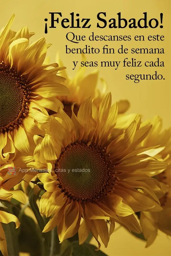 Que descanses en este bendito fin de semana y seas muy feliz cada segundo. ¡Feliz Sabado!
