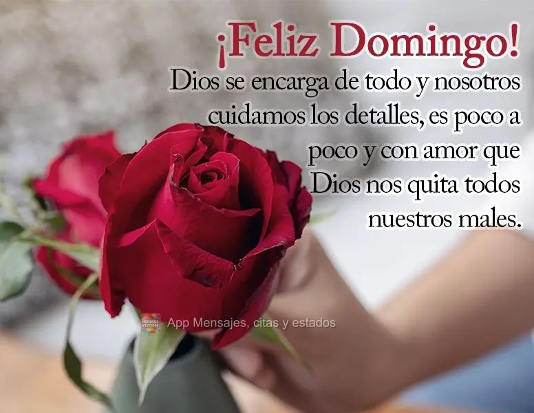 Dios se encarga de todo y nosotros cuidamos los detalles, es poco a poco y con amor que Dios nos quita todos nuestros males. ¡Feliz Domingo!
