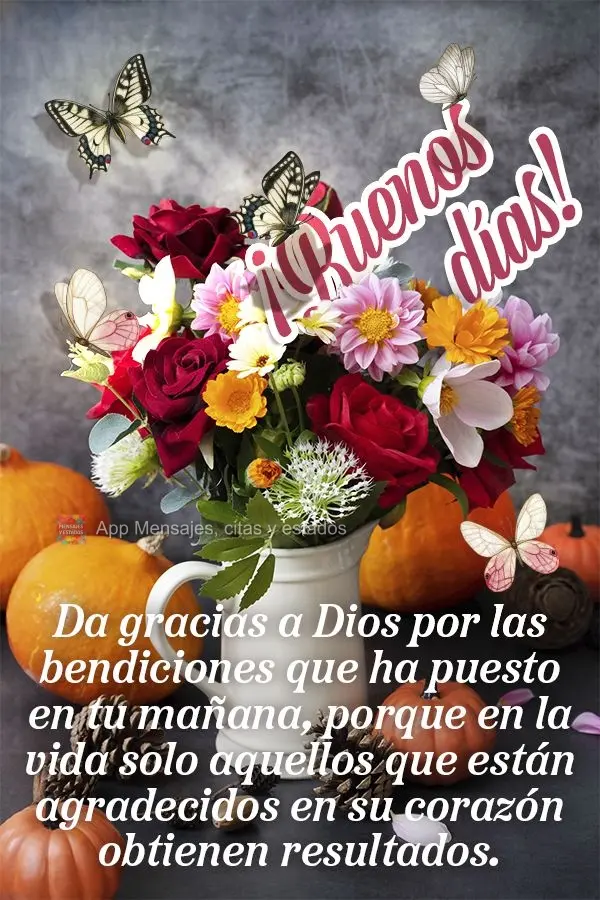 Agradeça a Deus pelas bênçãos que Ele colocou em sua manhã, pois na vida só obtém resultados quem é grato de coração. Bom dia!