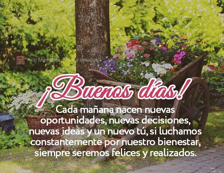 Todas as manhãs nascem novas oportunidades, novas decisões, novas ideias e um novo você, se lutarmos constantemente pelo nosso bem estar, sempre serem...