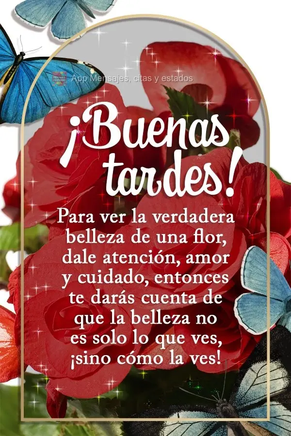 Para ver a verdadeira beleza de uma flor, lhe dê atenção, amor e carinho, então perceberá que a beleza não está só no que você vê, mas sim como...