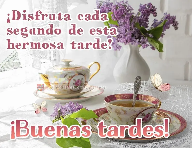 Aprecie cada segundo desta linda tarde! Boa tarde!