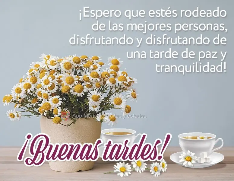 ¡Espero que estés rodeado de las mejores personas, disfrutando y aprendiendo de una tarde de paz y tranquilidad! ¡Buenas tardes!
