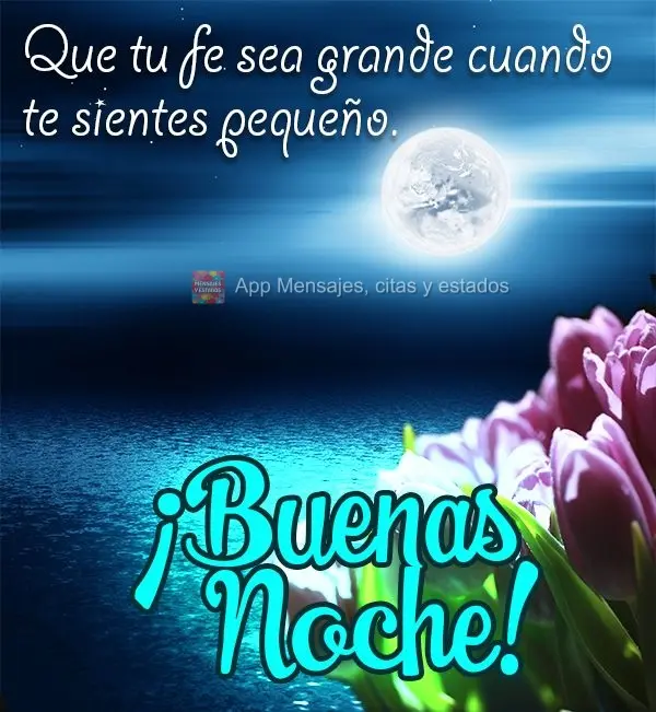 Que seja grande a sua fé, quando você se sentir pequeno. Boa noite!