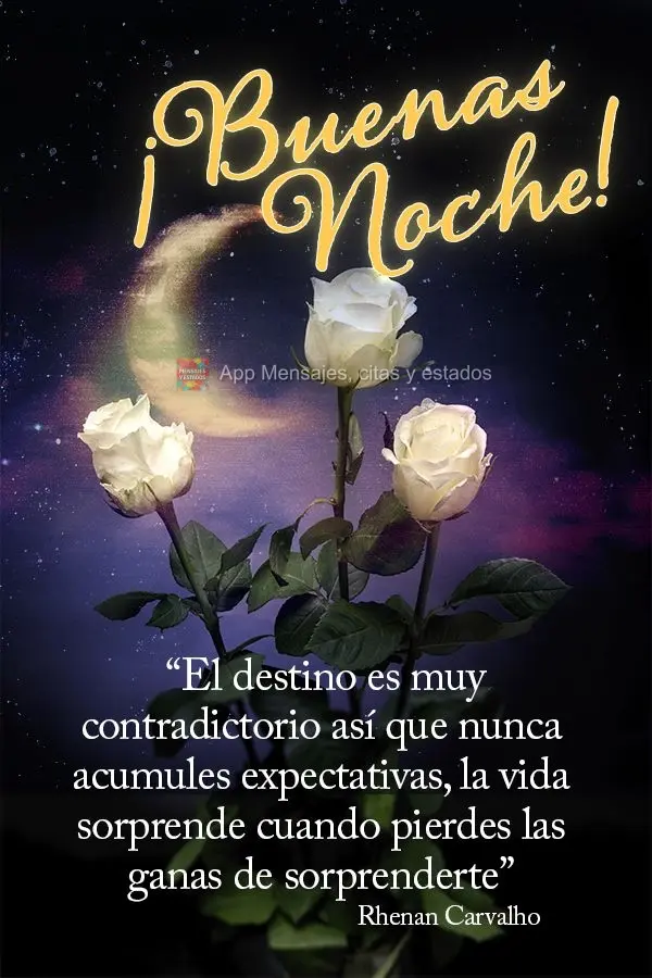 “O destino é muito contraditório, por isso nunca colecione expectativas. A vida surpreende quando você perde o desejo de ser surpreendido.” Boa no...