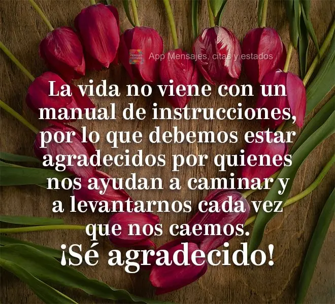 La vida no viene con un manual de instrucciones, por lo que debemos estar agradecidos por quienes nos ayudan a caminar y a levantarnos cada vez que nos c...