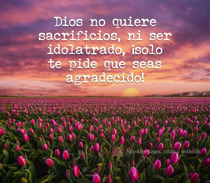 Dios no quiere sacrificios, ni ser idolatrado, ¡solo te pide que seas agradecido!