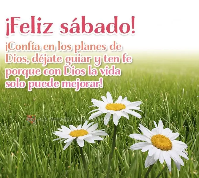 ¡Confía en los planes de Dios, déjate guiar y ten fe porque con Dios la vida solo puede mejorar! ¡Feliz sábado!