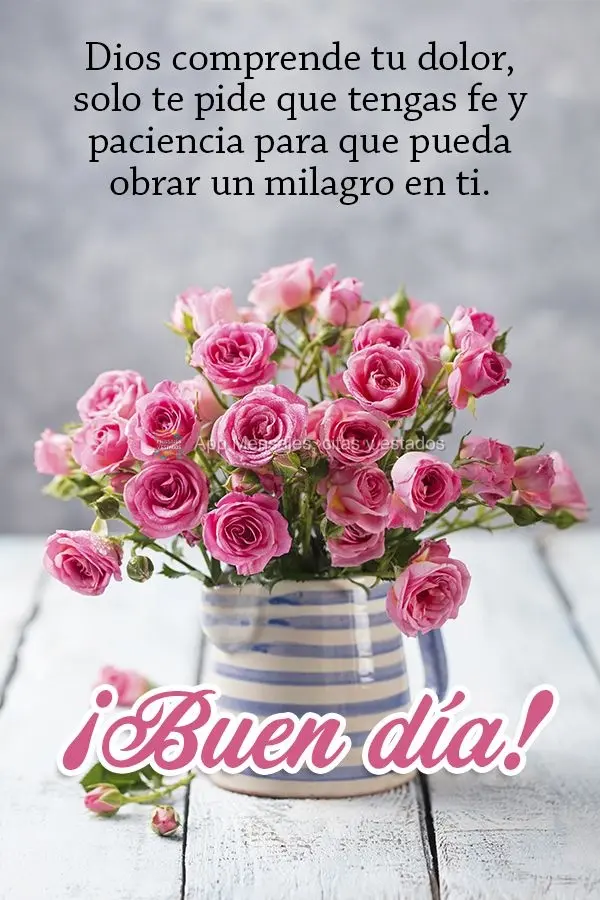 Deus compreende sua dor, Ele só pede que você tenha fé e paciência para que Ele possa fazer um milagre em ti. Bom dia!