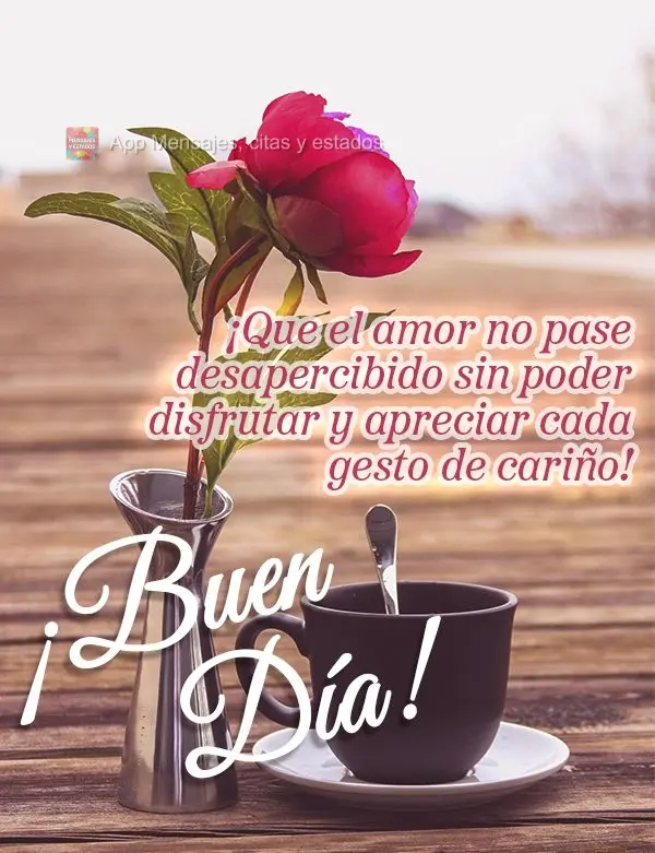 Que o amor não passe despercebido sem poder aproveitar e apreciar cada gesto de carinho! Bom dia!